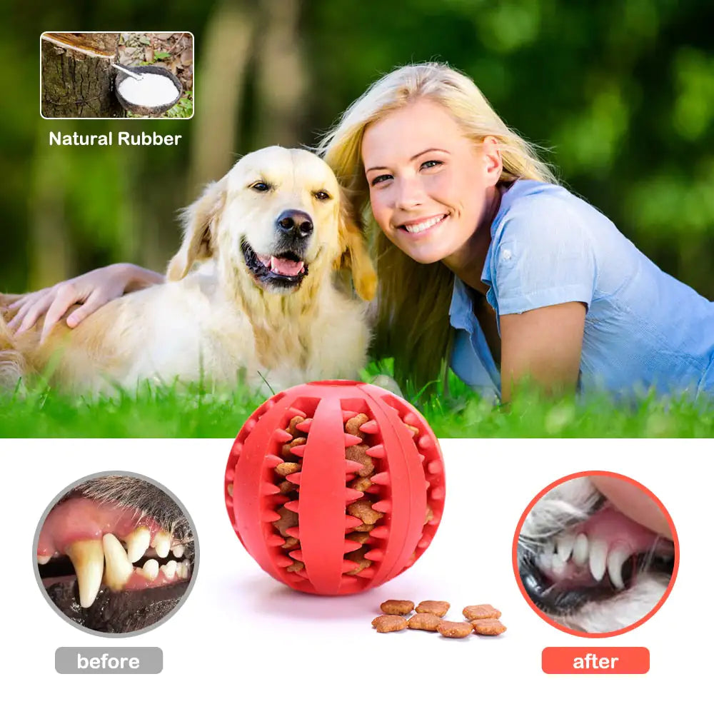 Interactive Pet Rubber Balls