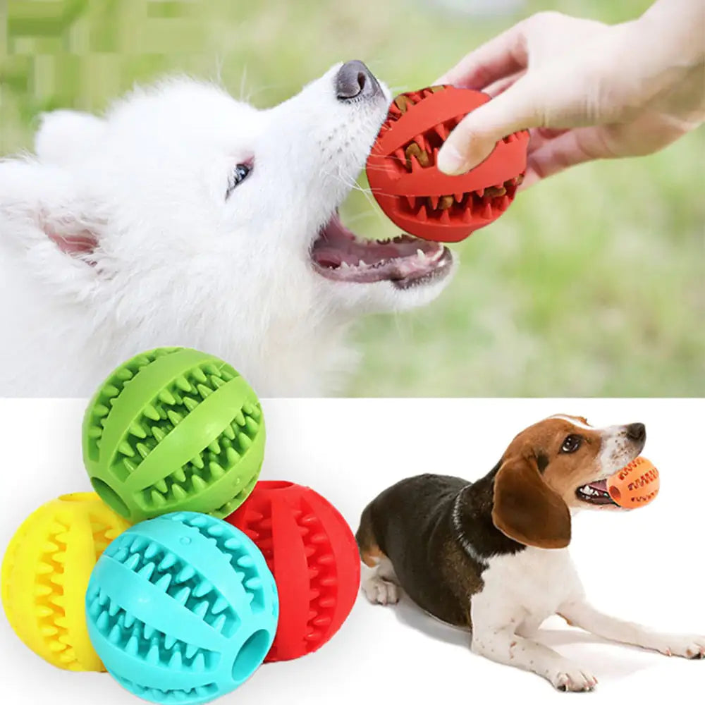 Interactive Pet Rubber Balls