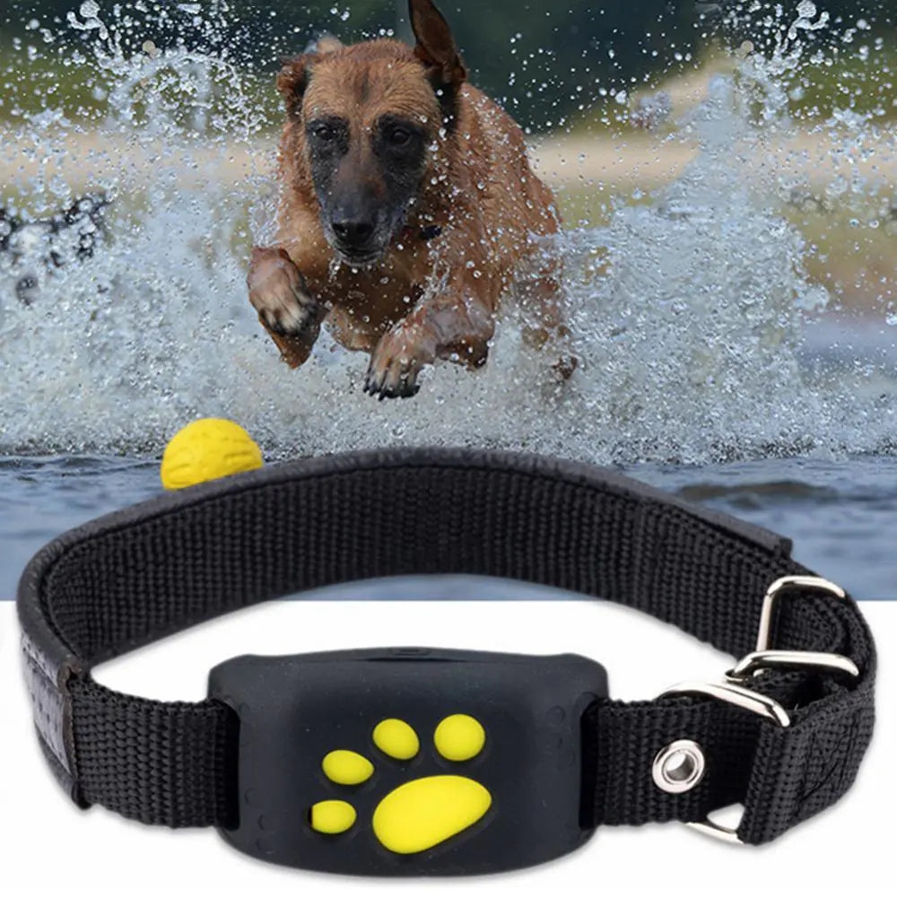 GPS Pet Tracking Collar