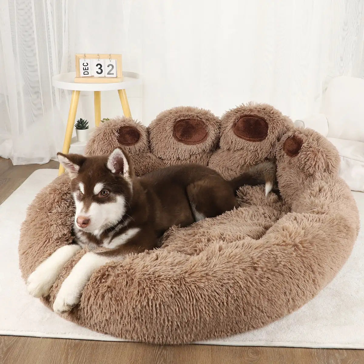 Plush Dog Bed